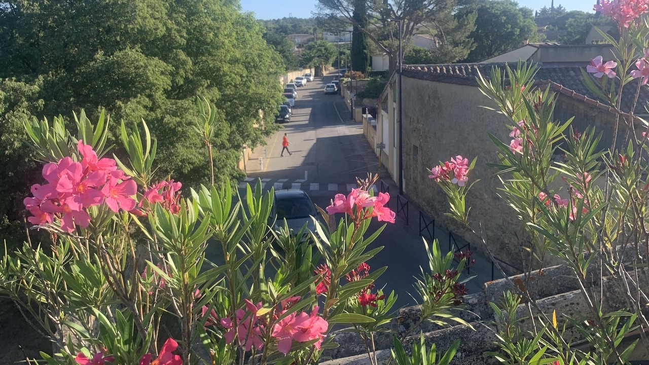 Photo of Outdoor in Vers-Pont-du-Gard