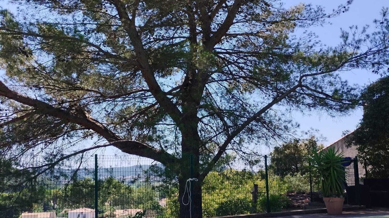 Photo of Outdoor in Caveirac