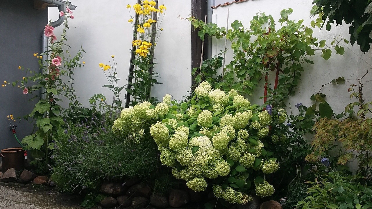 Photo of Outdoor in Tangermuende