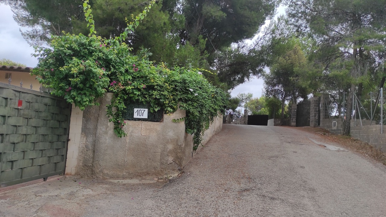 Photo of Outdoor in Albalat dels Tarongers