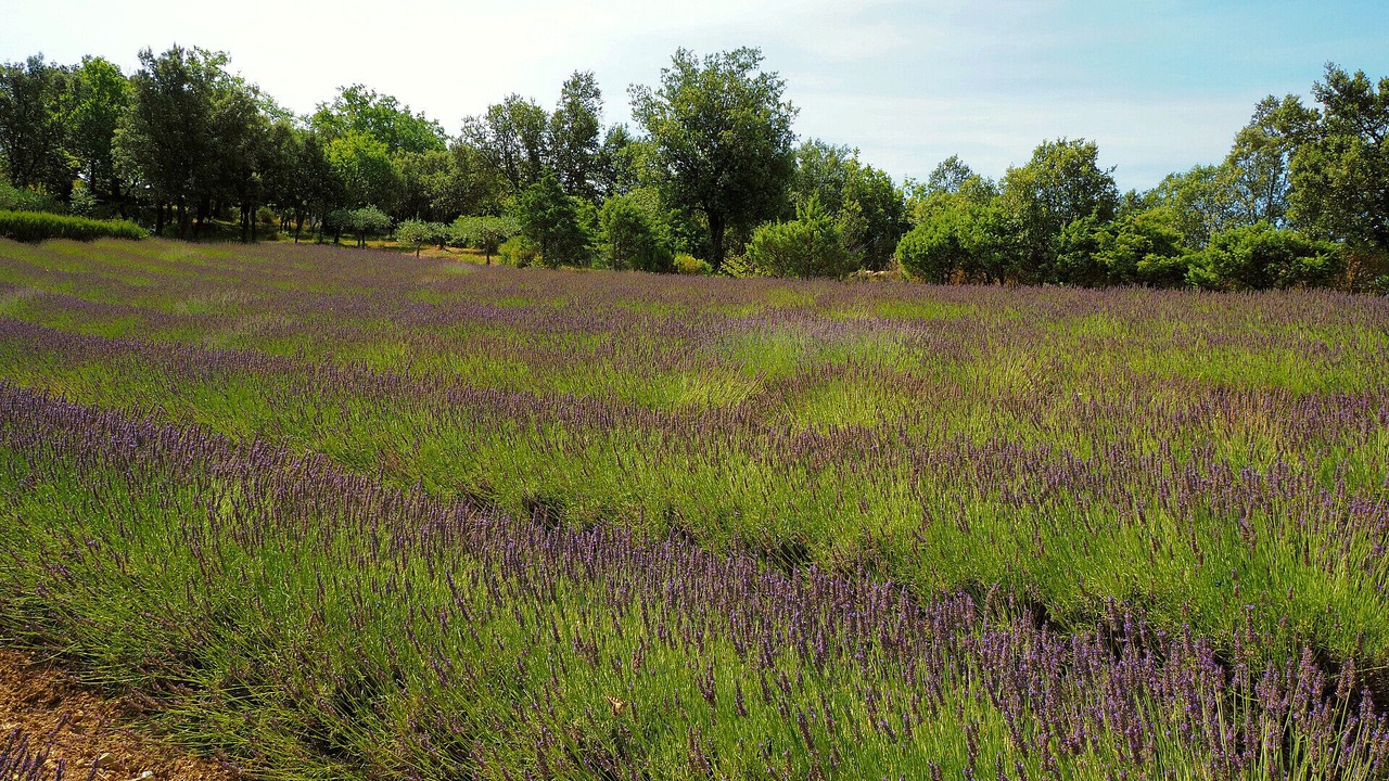 Photo of Outdoor in Boucoiran-et-Nozieres
