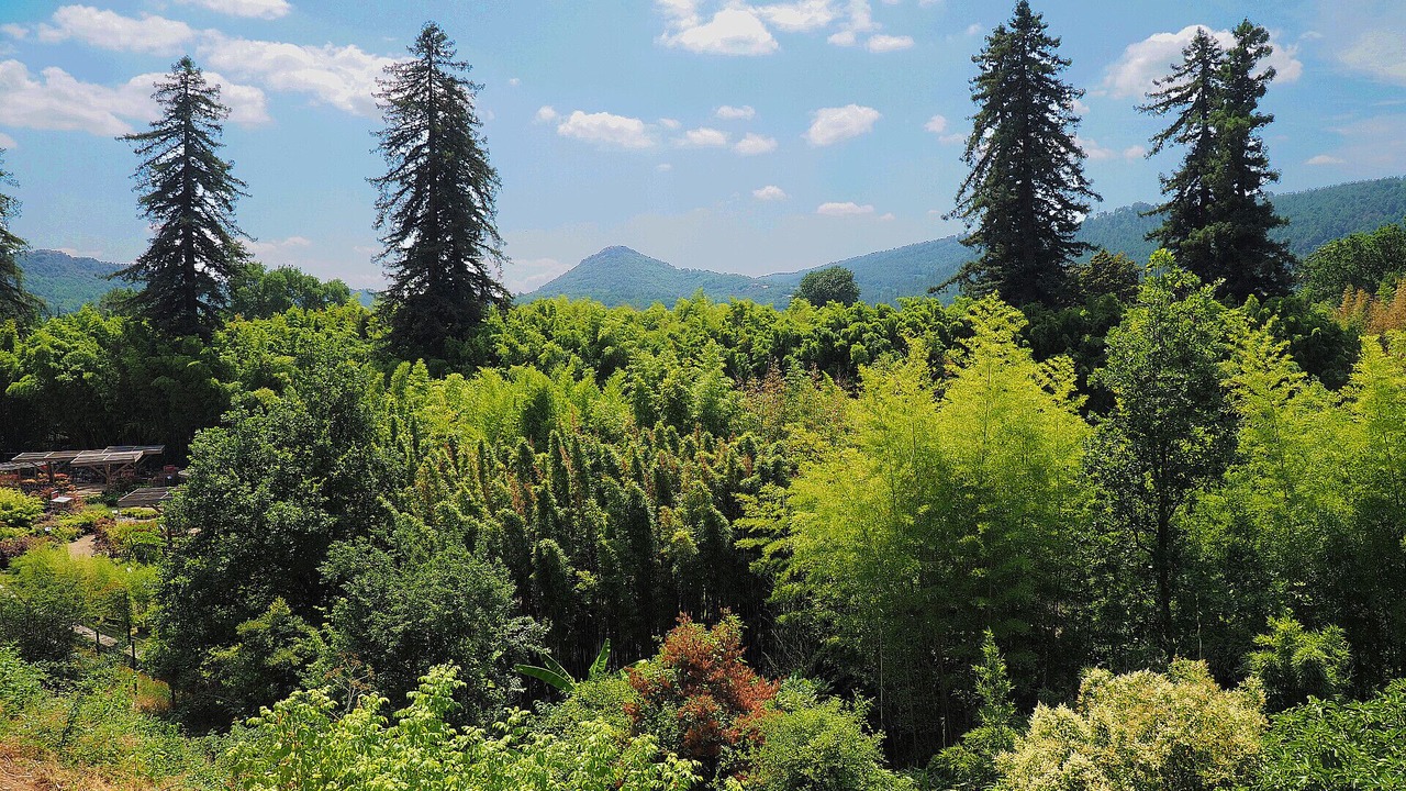 Photo of Outdoor in Boucoiran-et-Nozieres