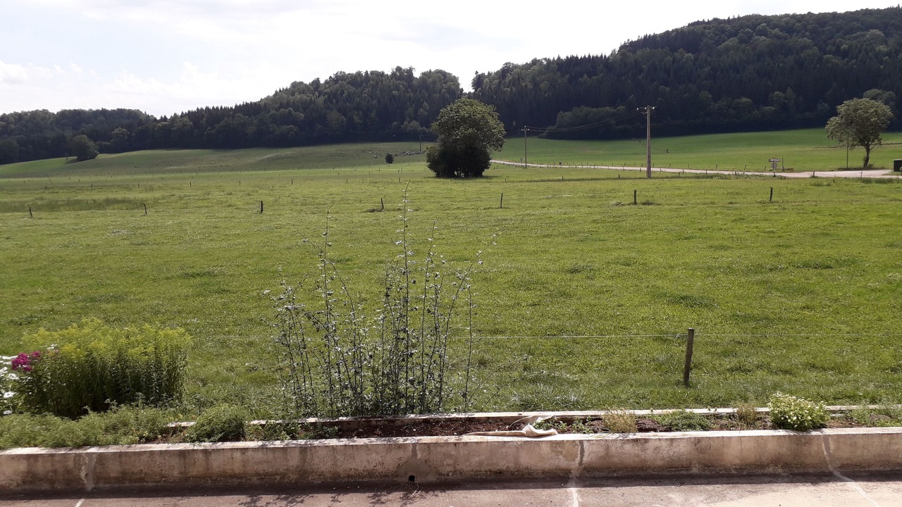 Photo of Others in Le Vaudioux