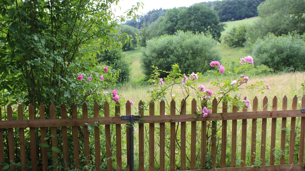 Photo of Outdoor in Schlarpe