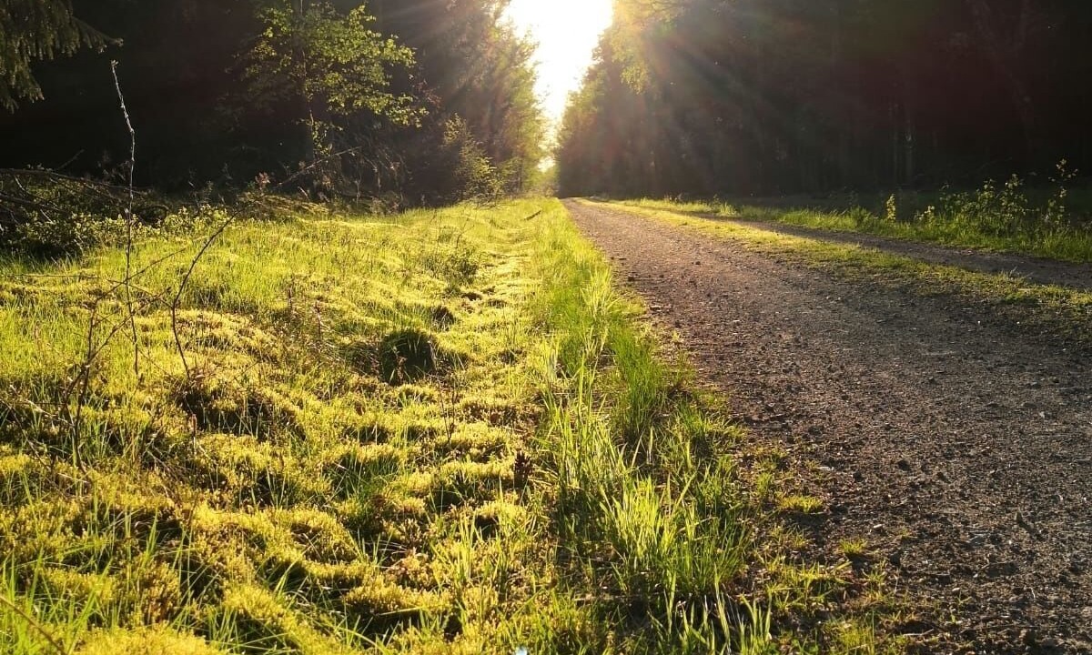 Photo of Outdoor in Dahlenburg