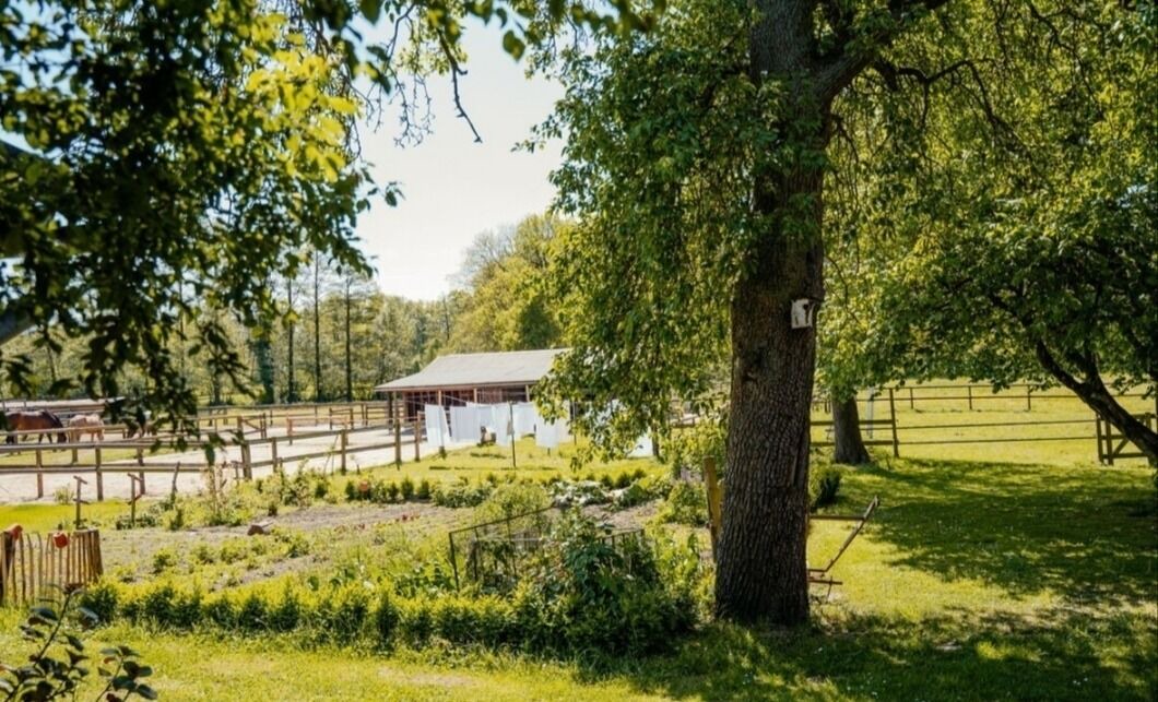 Photo of Outdoor in Dahlenburg