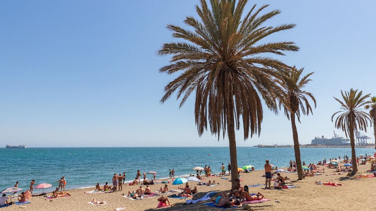 Photo of Others in La Malagueta