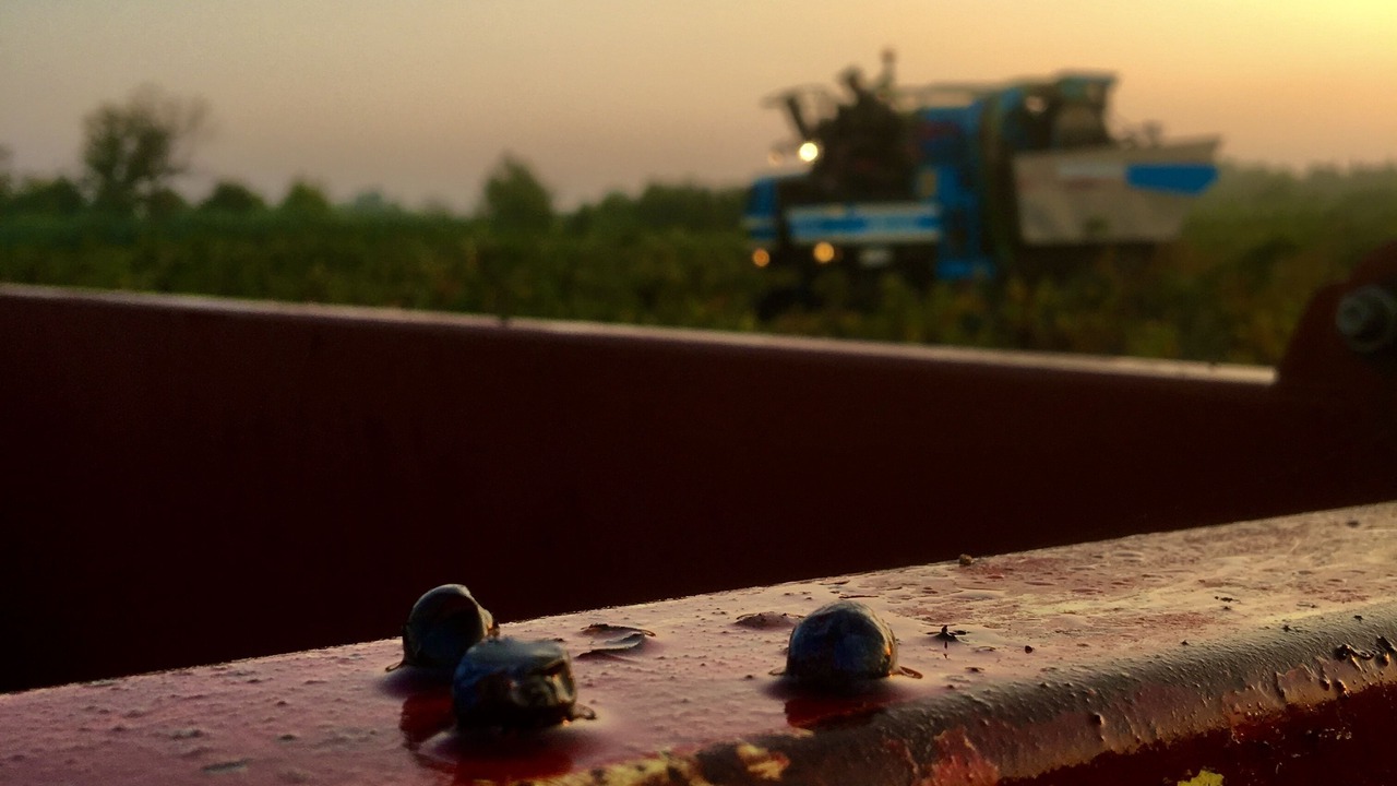 Photo of Outdoor in Montseret