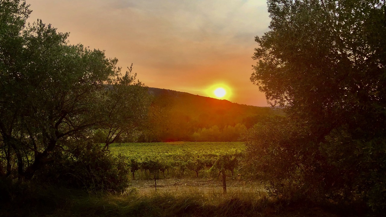 Photo of Outdoor in Montseret