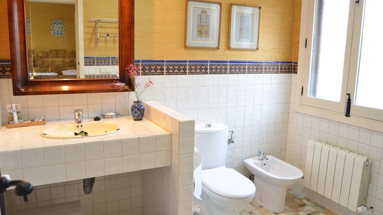 Photo of Bathroom in Pago de San Clemente