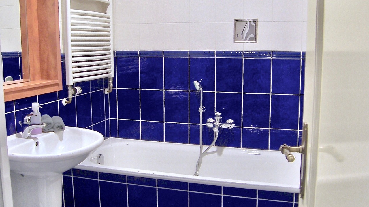 Photo of Bathroom in Prague 1