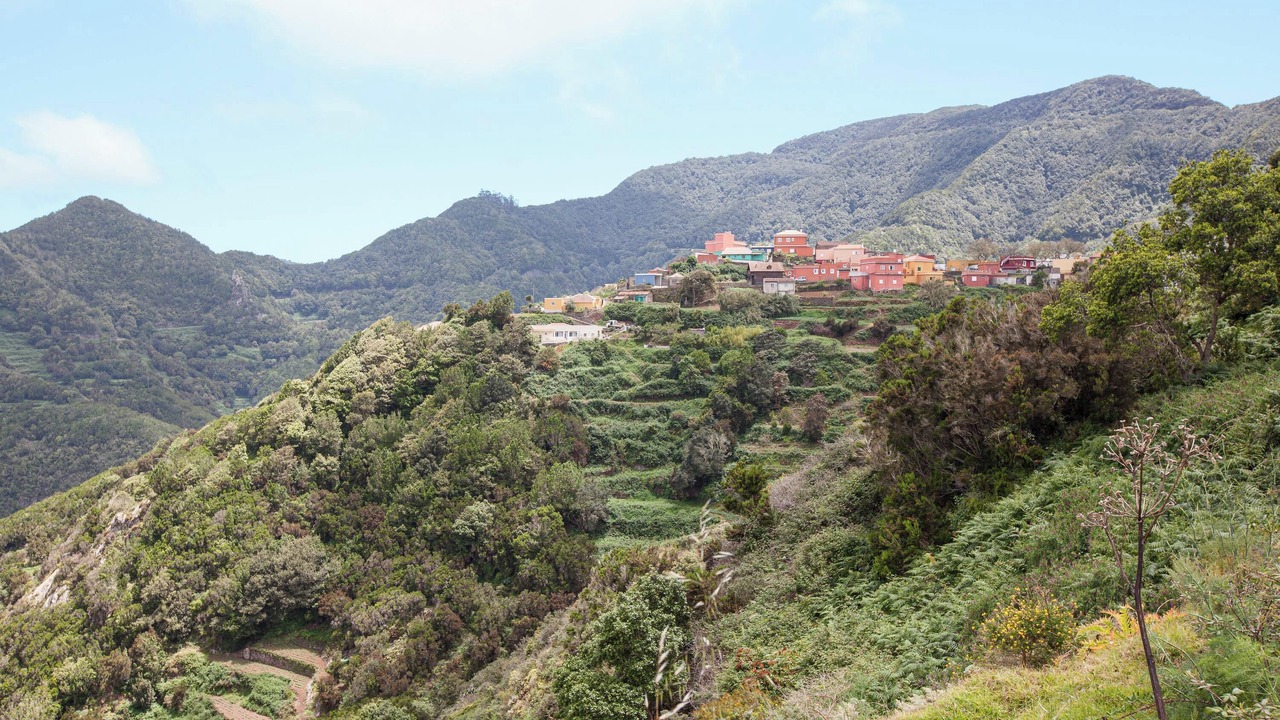 Photo of Others in San Cristobal de La Laguna