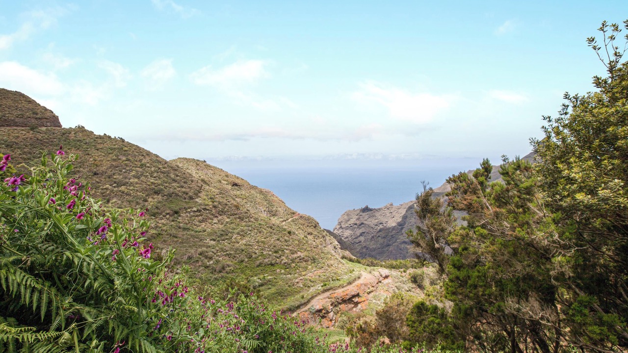 Photo of Others in San Cristobal de La Laguna