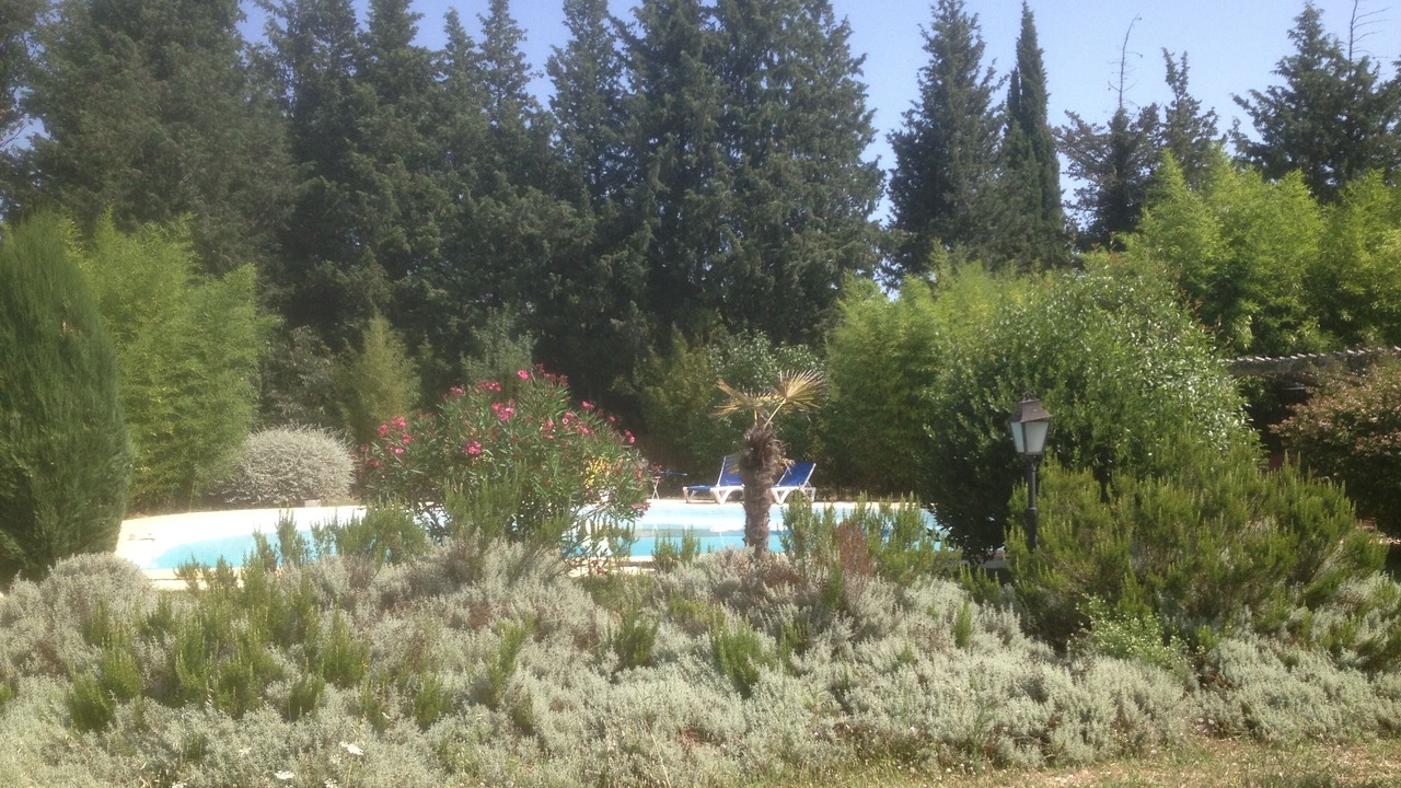 Photo of Outdoor in Saint-Maximin