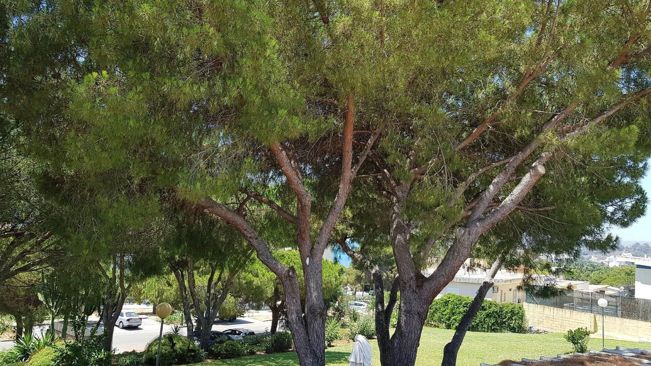 Photo of Outdoor in Urbanizacion Puerto de Estepona