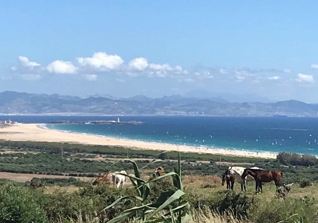 Photo of Others in Tarifa
