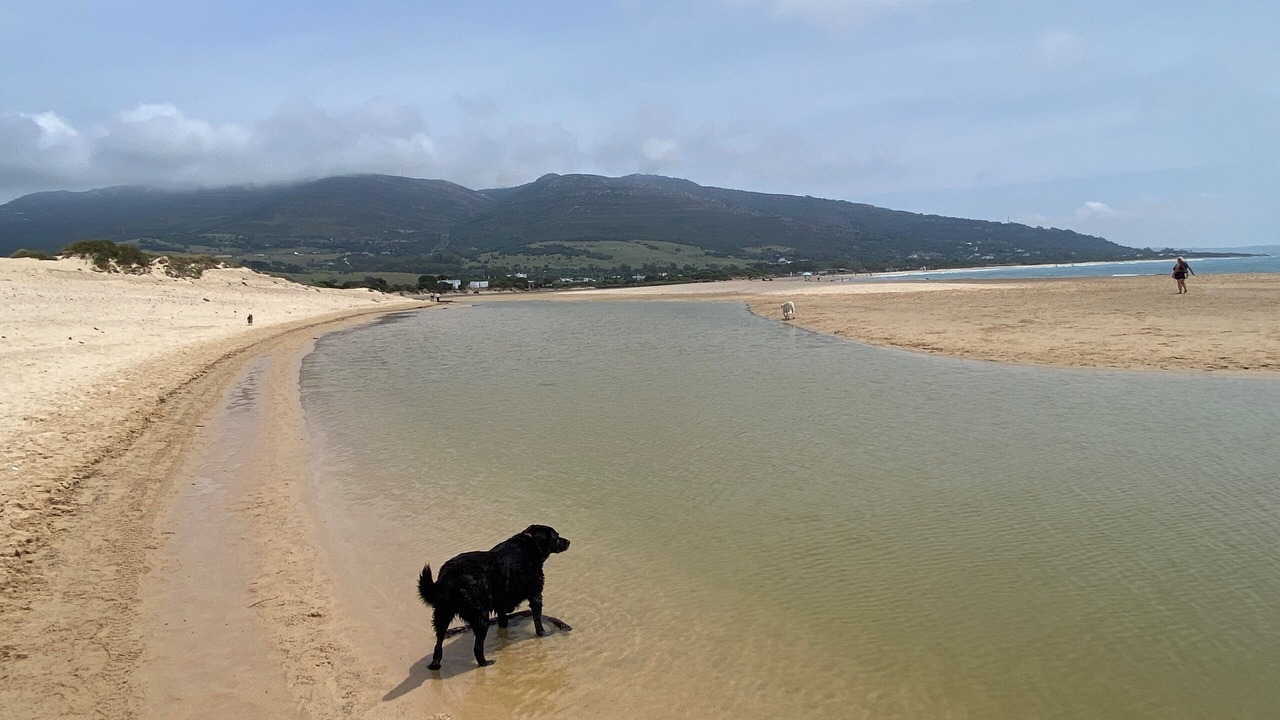 Photo of Others in Tarifa