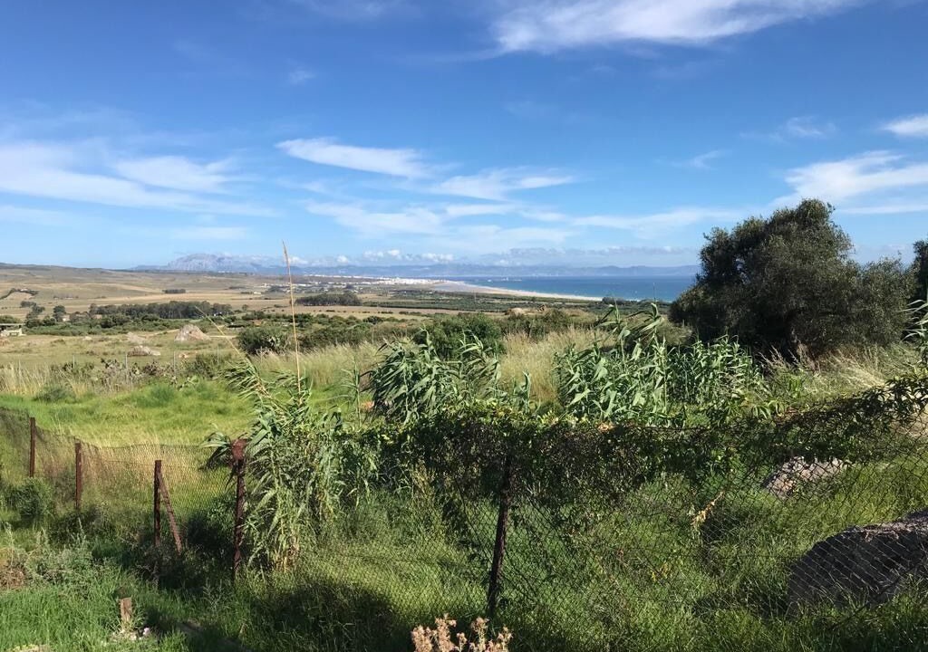 Photo of Others in Tarifa