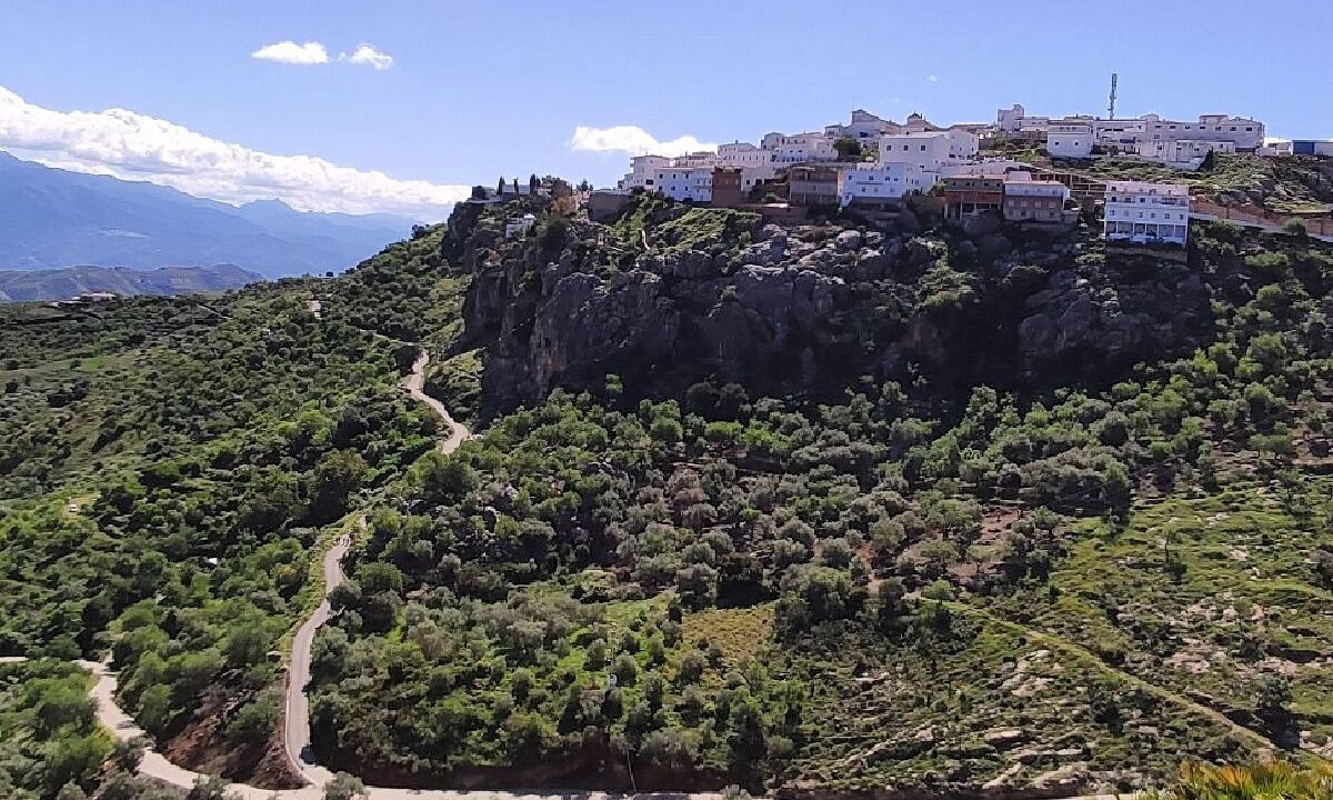 Photo of Others in Comares