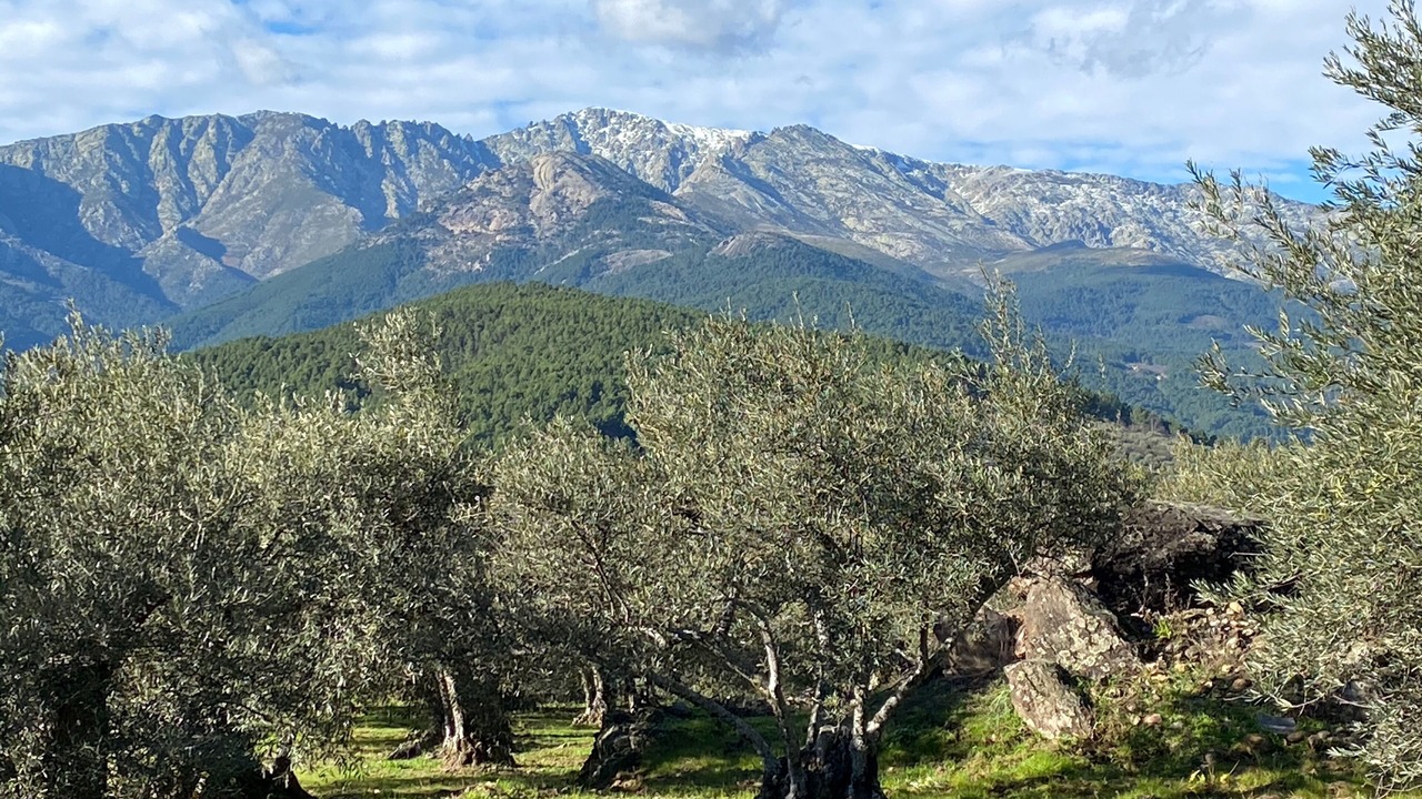 Photo of Outdoor in Arenas de San Pedro