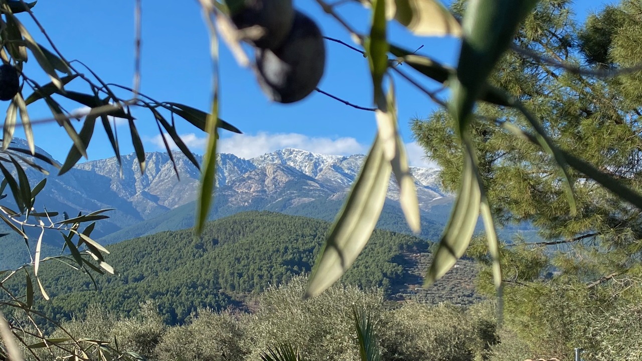 Photo of Outdoor in Arenas de San Pedro