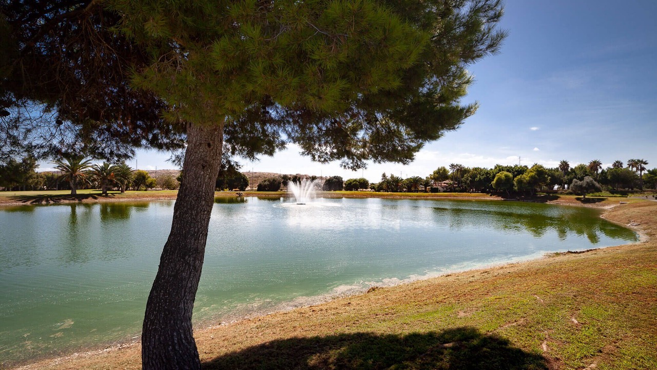 Photo of Others in Hoya de los Patos