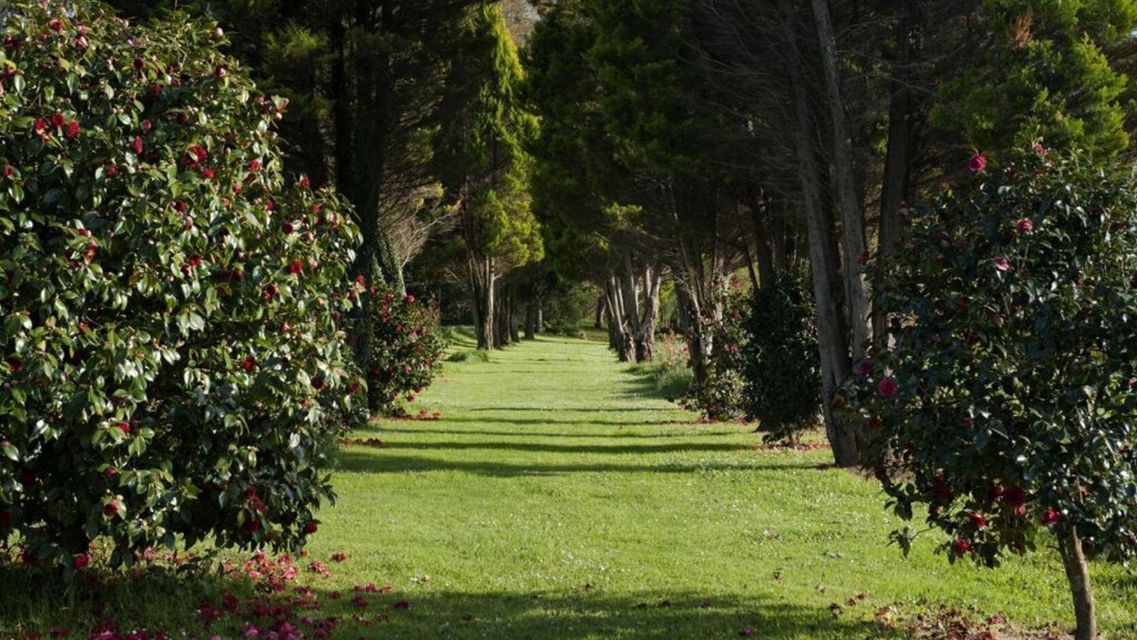 Photo of Outdoor in Andeade