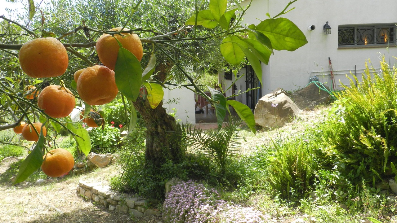 Photo of Outdoor in Cortes de la Frontera