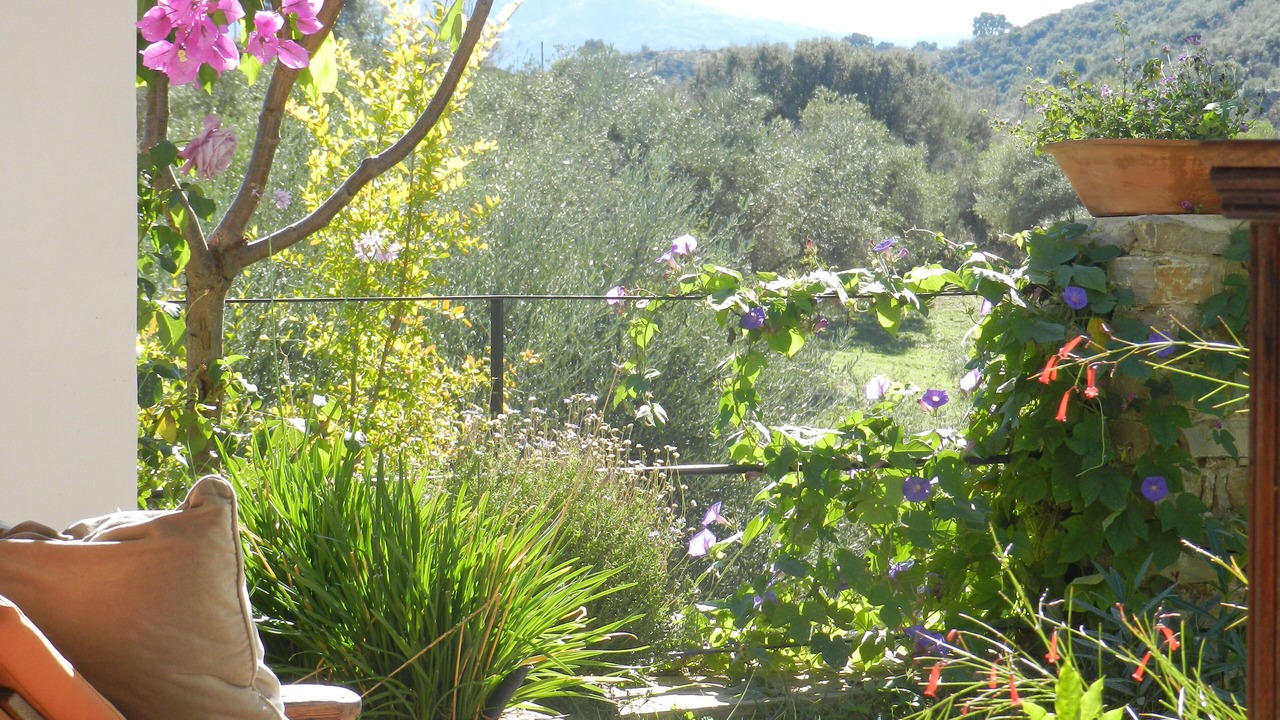 Photo of Outdoor in Cortes de la Frontera