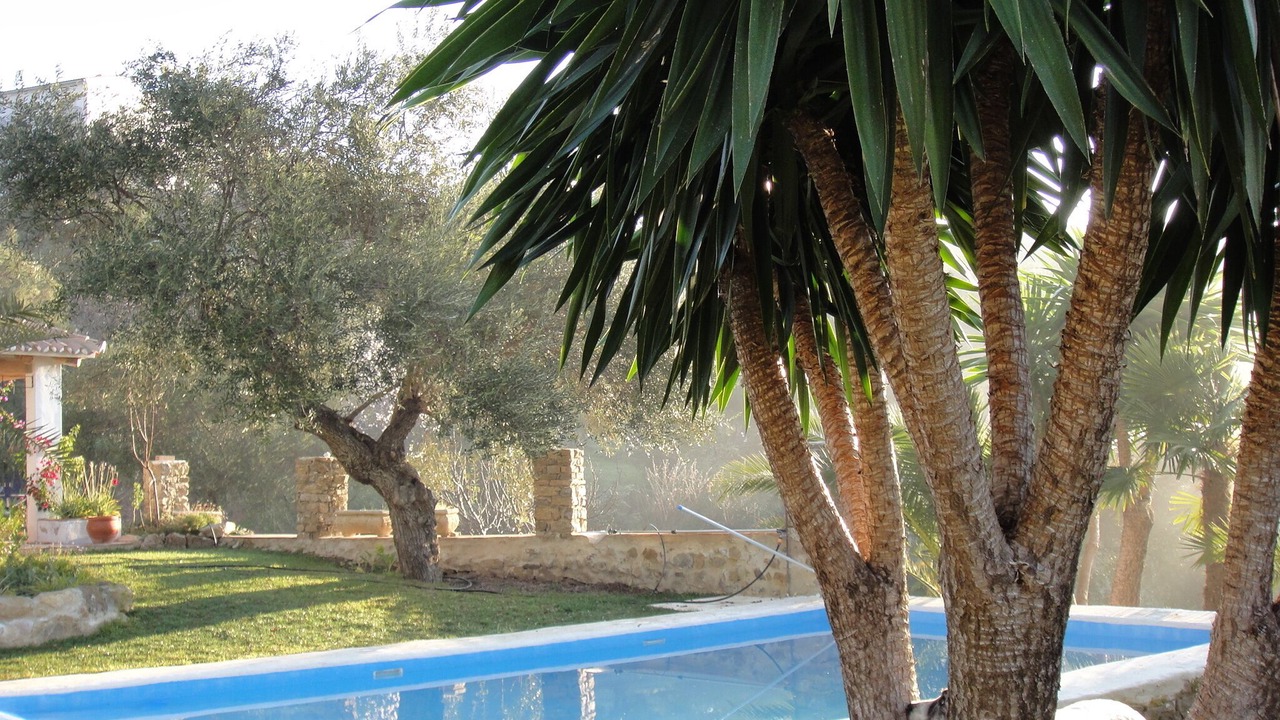 Photo of Outdoor in Cortes de la Frontera