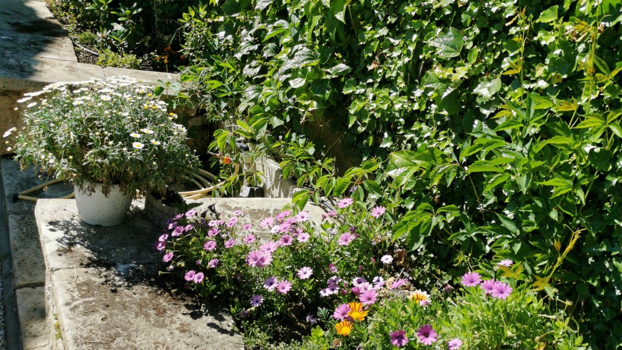 Photo of Outdoor in Manduel
