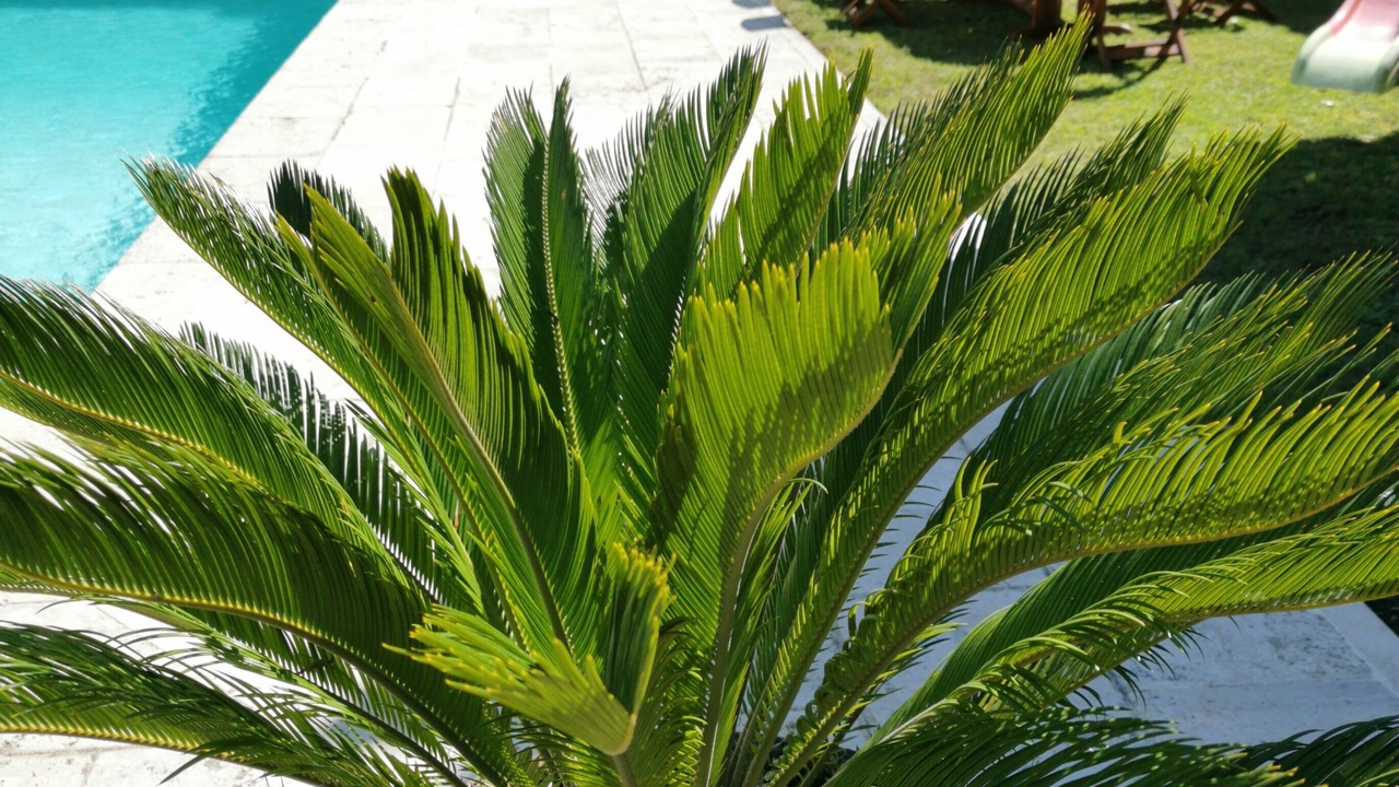 Photo of Outdoor in Manduel
