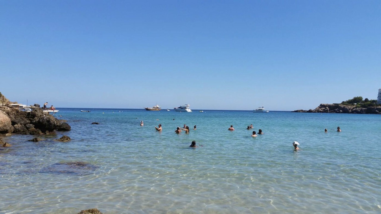 Photo of Others in Cala Llenya