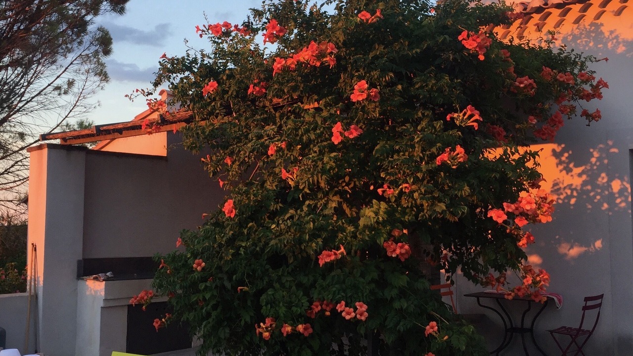 Photo of Outdoor in Saint-Siffret