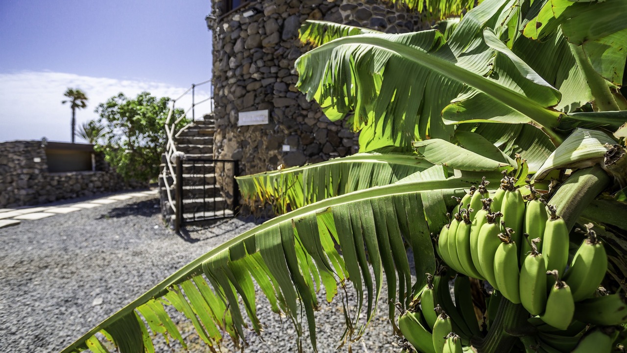 Photo of Outdoor in Haria