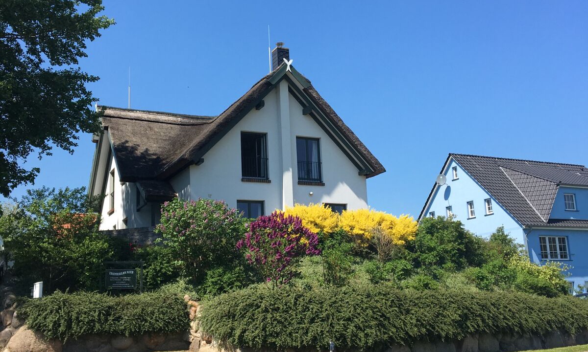 Photo of Outdoor in Freest