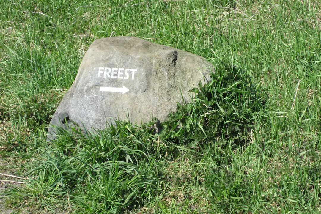 Photo of Others in Freest
