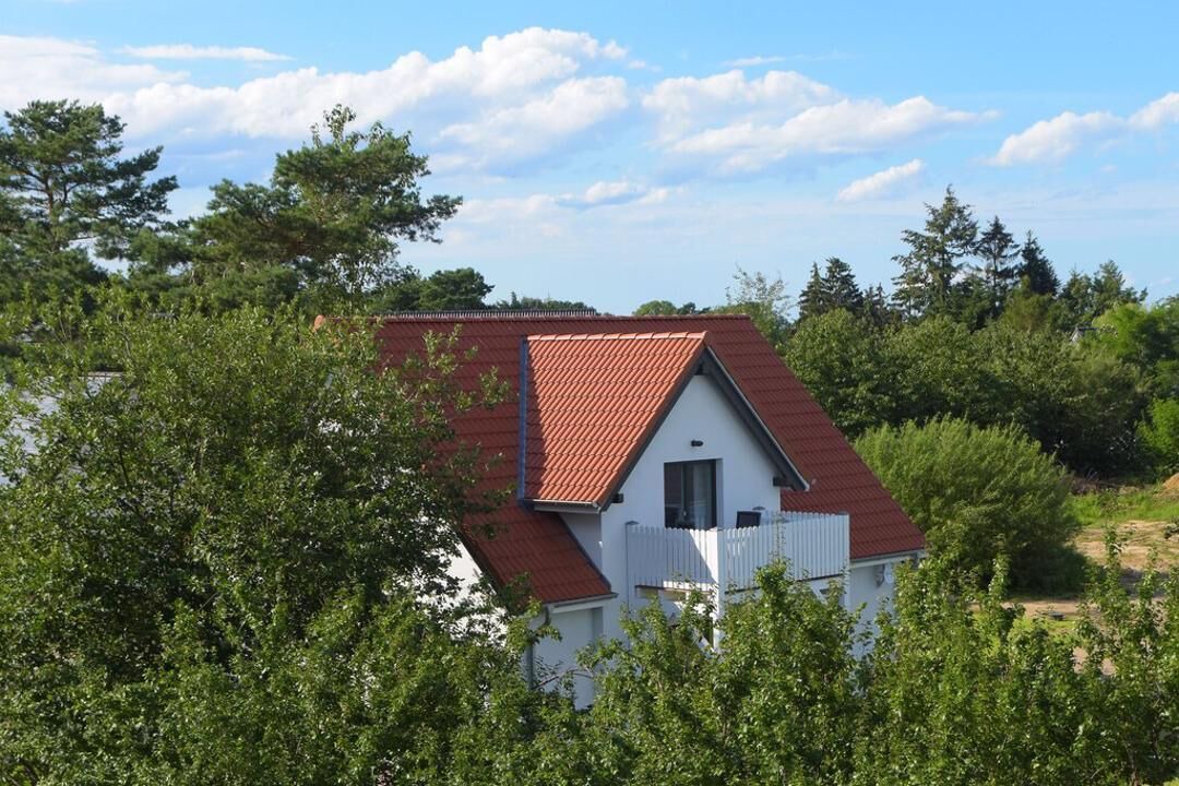 Photo of Outdoor in Freest