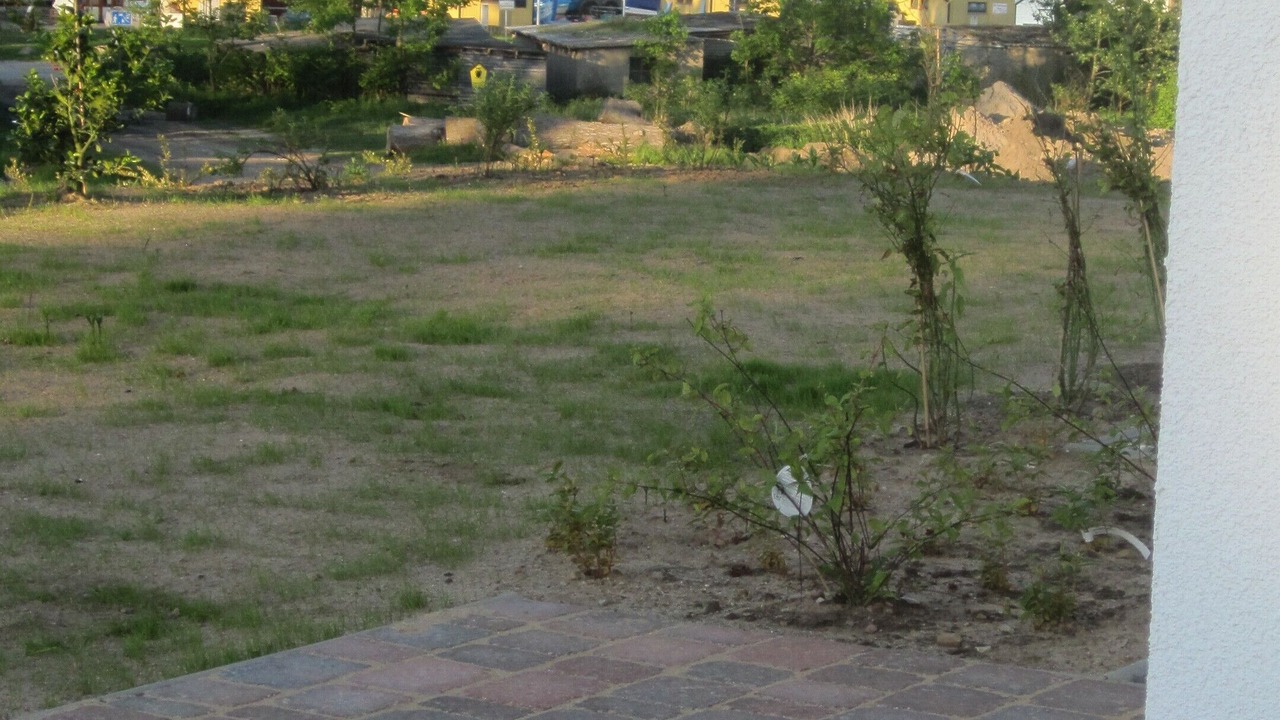 Photo of Outdoor in Freest