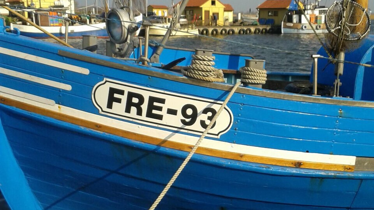 Photo of Others in Freest