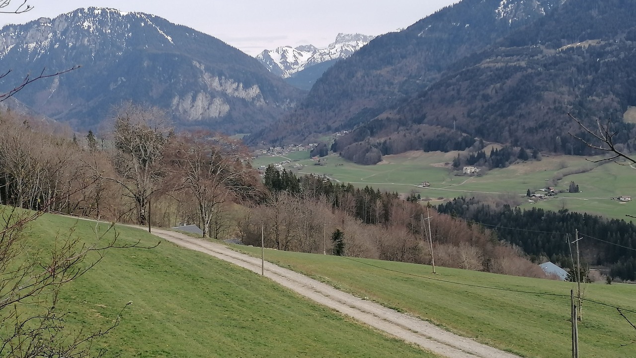 Photo of Others in Thollon-les-Memises