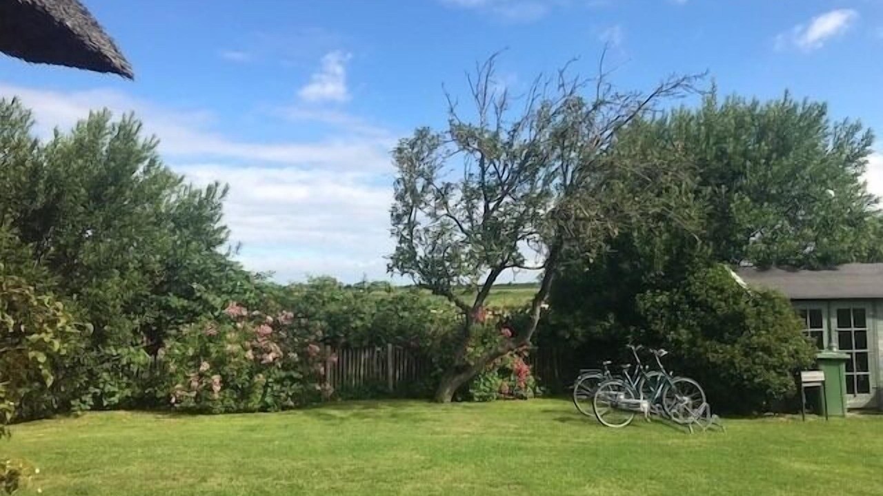 Photo of Outdoor in Midlum