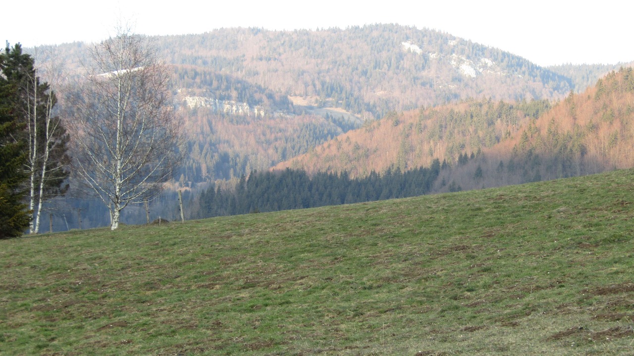 Photo of Outdoor in Premanon