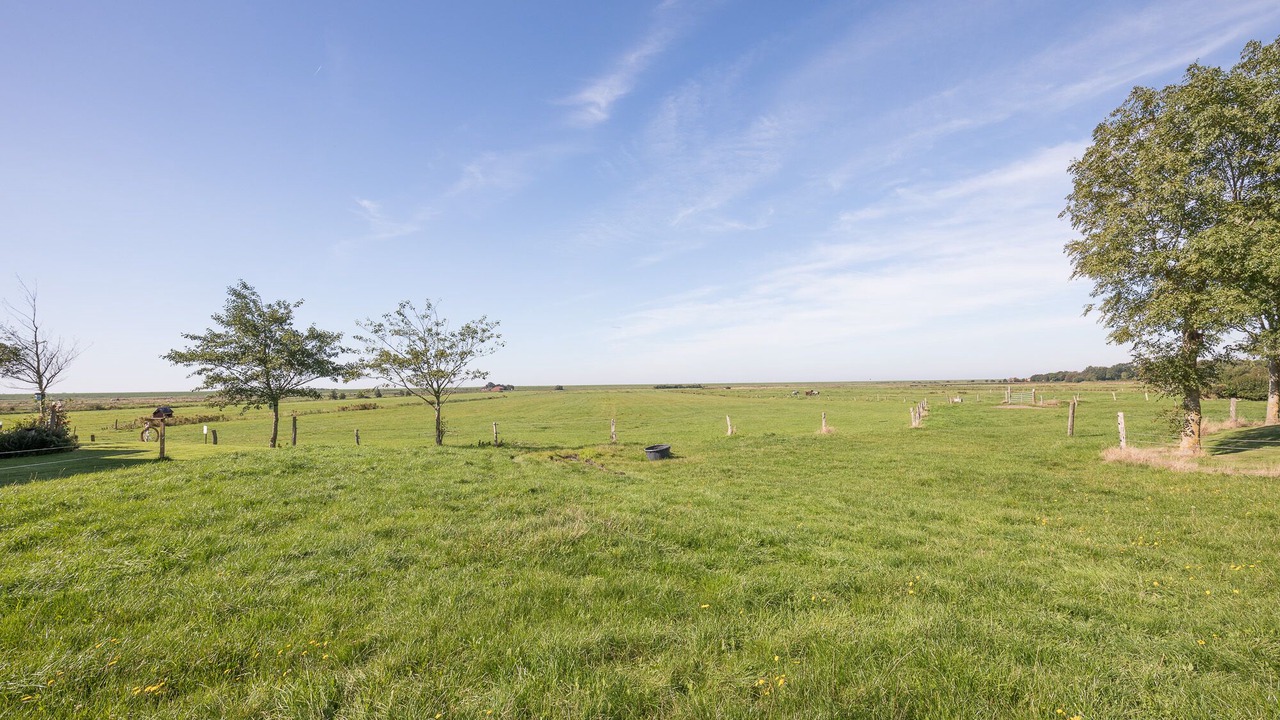 Photo of Others in West Husum