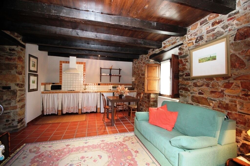 Photo of Livingroom in Grandas de Salime
