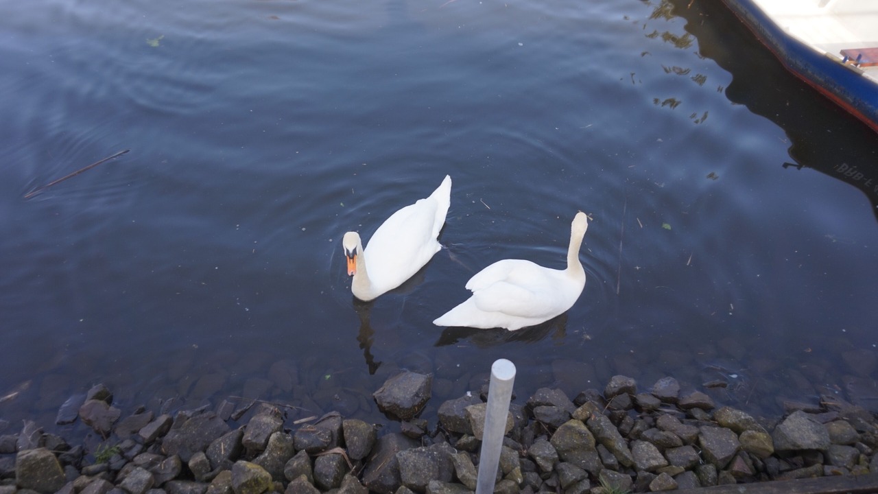 Photo of Others in Rathenow