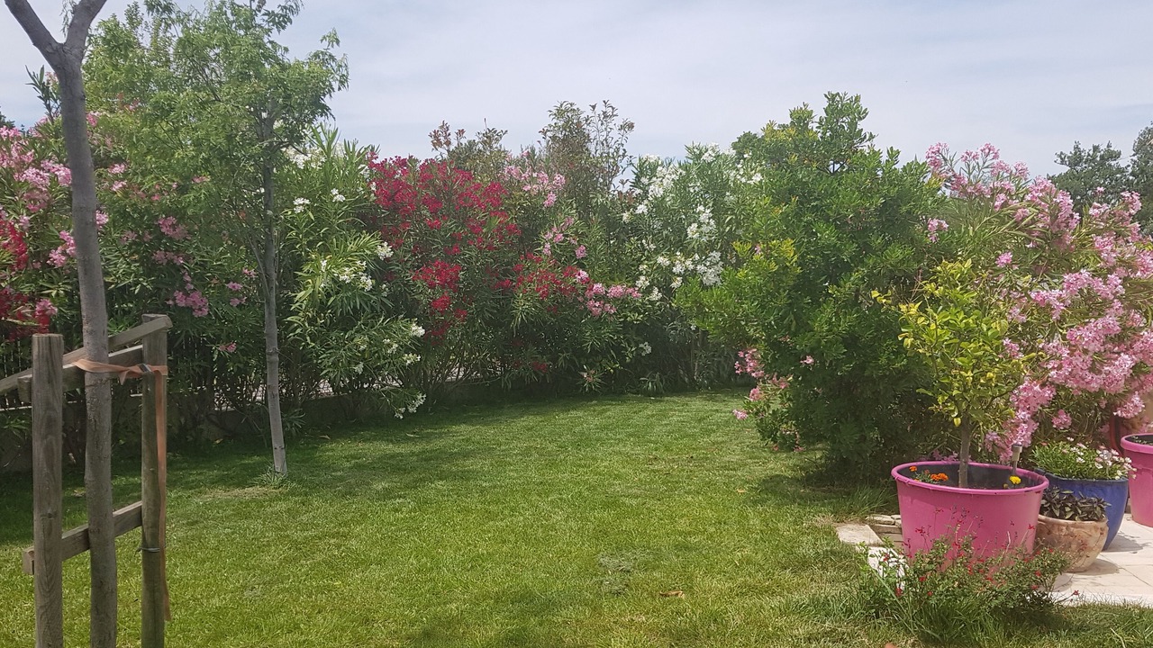 Photo of Outdoor in Eyragues
