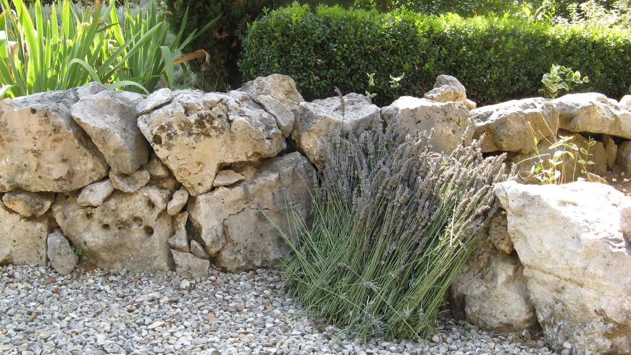 Photo of Outdoor in Garrigues-Sainte-Eulalie
