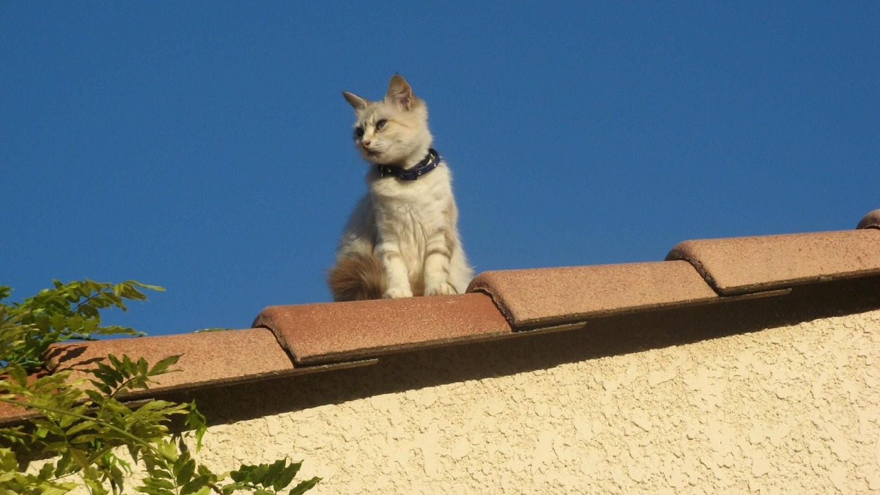 Photo of Outdoor in Garrigues-Sainte-Eulalie