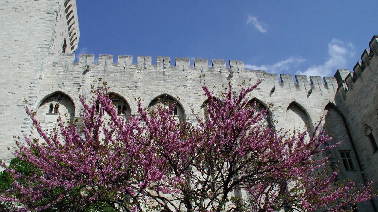 Photo of Others in Garrigues-Sainte-Eulalie